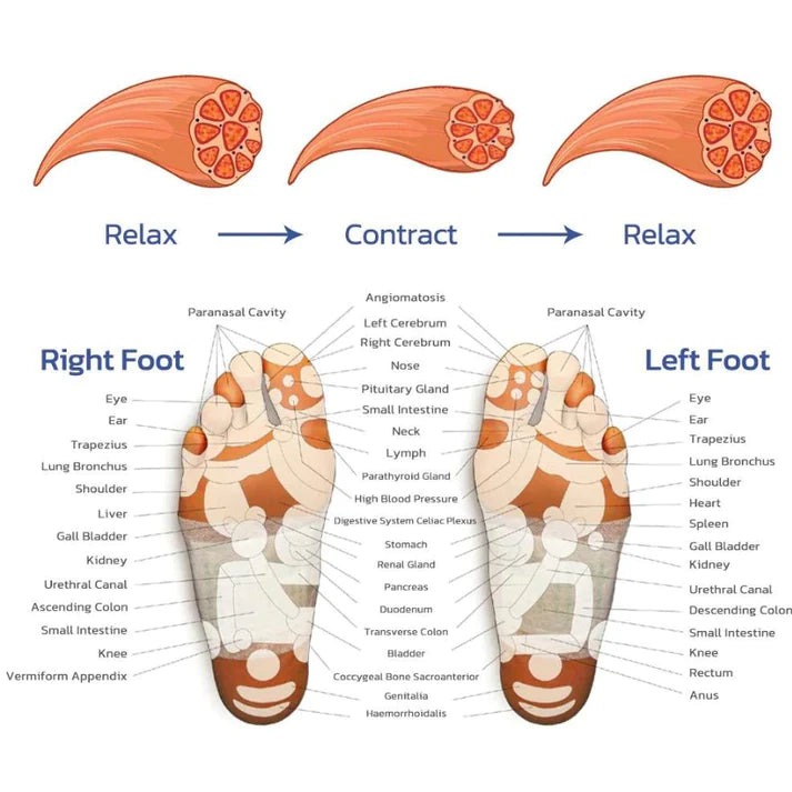 Footmassage Kit - For Langvarig Fodsmertelindring