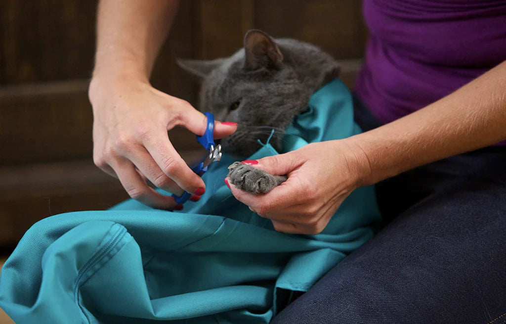 Køb En Og Få En GRATIS: Kattebærerpose