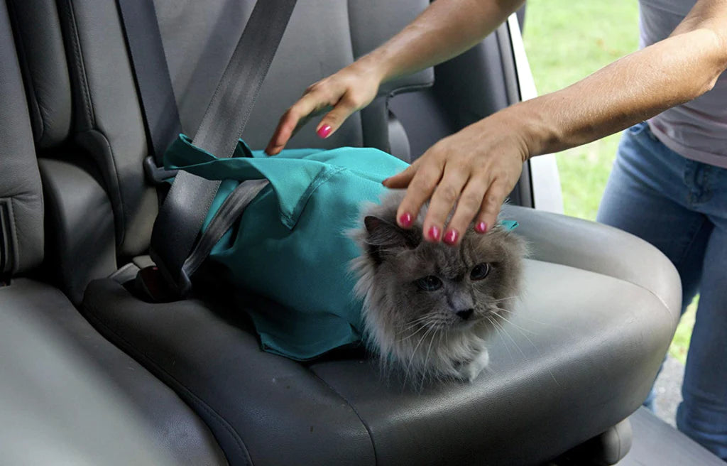 Køb En Og Få En GRATIS: Kattebærerpose